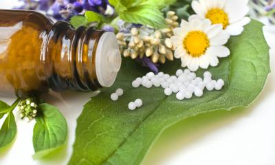 Erbe e piante per combattere l'insonnia Erbe e piante per combattere l'insonnia