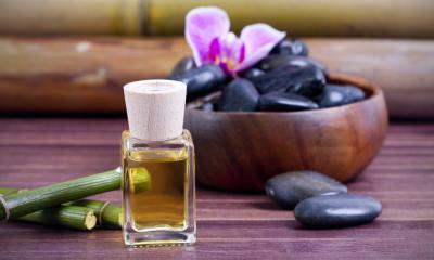 Olio di bambù, le proprietà Olio di bambù, le proprietà
