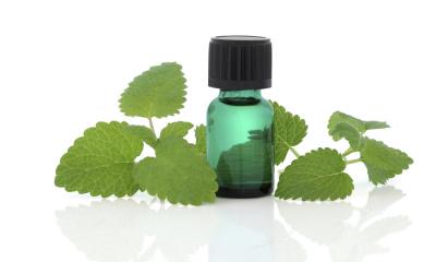 Olio essenziale di citronella, le proprietà Olio essenziale di citronella, le proprietà