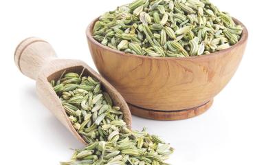 Olio essenziale di finocchio, i benefici Olio essenziale di finocchio, i benefici