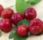 Acerola, miniera di vitamina C