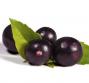 Bacche di Acai, proprietà