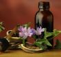 Curare le afte con metodi naturali