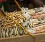 Miswak, lo spazzolino da denti naturale