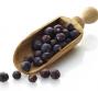 Olio essenziale di ginepro, le proprietà