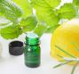 Olio essenziale di melissa, le proprietà