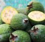 Tutte le proprietà della Feijoa