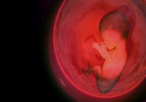 Prevenzione e screening prenatale