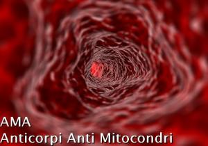 AMA - Anticorpi Anti Mitocondri AMA - Anticorpi Anti Mitocondri