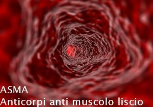 ASMA – Anticorpi anti muscolo liscio ASMA – Anticorpi anti muscolo liscio