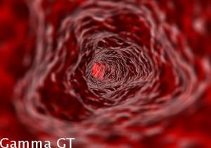 Gamma GT – Gamma glutamil transpeptidasi Gamma GT – Gamma glutamil transpeptidasi