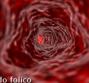 Acido folico