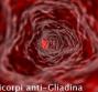Anticorpi anti-Gliadina