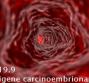 Ca 19.9 - Antigene carcinoembrionario