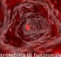 Antitrombina III funzionale