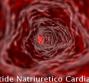 BNP - Peptide Natriuretico Cardiaco