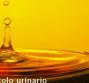 Calcolo urinario