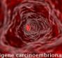 CEA – Antigene carcinoembrionario