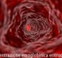 CHR – Concentrazione emoglobinica eritrocitaria