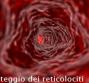 Conteggio dei reticolociti