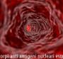 ENA – Anticorpi anti antigeni nucleari estraibili