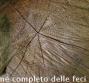 Esame completo delle feci