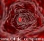 Frazione C4 del complemento
