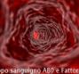 Gruppo sanguigno AB0 e Fattore Rh