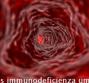 HIV – Virus dell’immunodeficienza umana