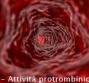 INR – Attività protrombinica