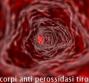 TPO - Anticorpi anti perossidasi tiroidea