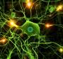 Epilessia