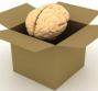 Ischemia cerebrale