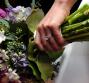 A nozze con lo sponsor: il matrimonio sponsorizzato