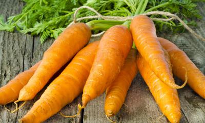 Olio di carota, le proprietà cosmetiche