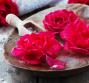 Acqua di rose fai da te