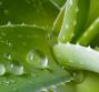 Cure naturali per la dermatite atopica