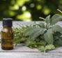 Rimedi naturali contro la caduta dei capelli