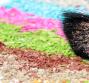 Scegliere il colore del make up