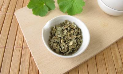 Alchemilla, le proprietà