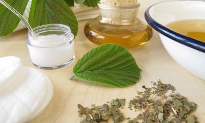 Amamelide, le proprietà terapeutiche