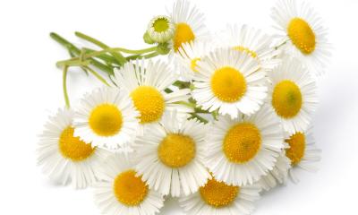 Maschere decongestionanti