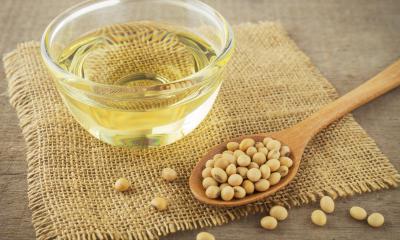 Olio di soia, le proprietà