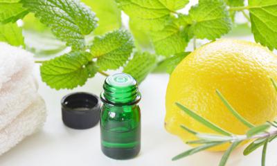 ​Olio essenziale di melissa, le proprietà