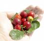 I rimedi naturali per prevenire il raffreddore