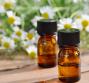 Olio essenziale di camomilla, le proprietà