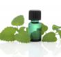 Olio essenziale di citronella, le proprietà