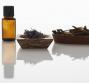 Olio essenziale di Niaouli, le proprietà