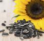 Semi di girasole, le proprietà