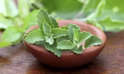 Stevia, dolcificante naturale